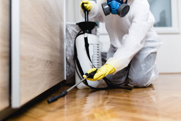 Pest Control Cost in New Paris, OH