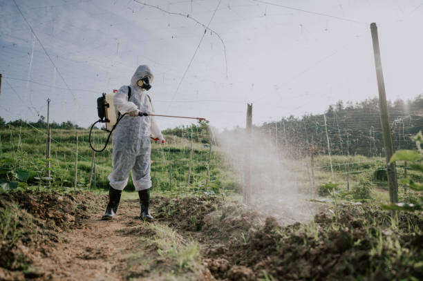 Best Mosquito Control Services  in New Paris, OH