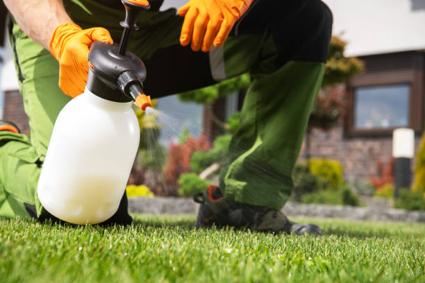 Best Pest Prevention Services  in New Paris, OH
