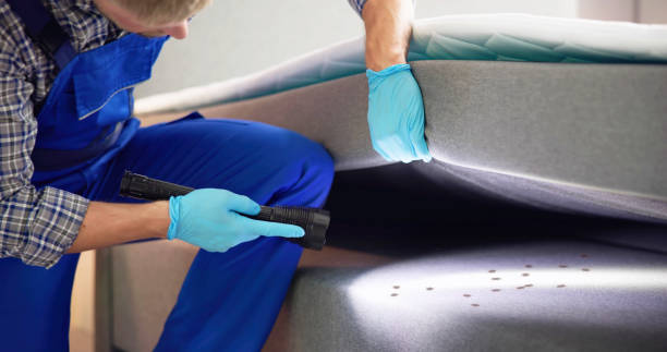 Best Best Pest Control Companies  in New Paris, OH