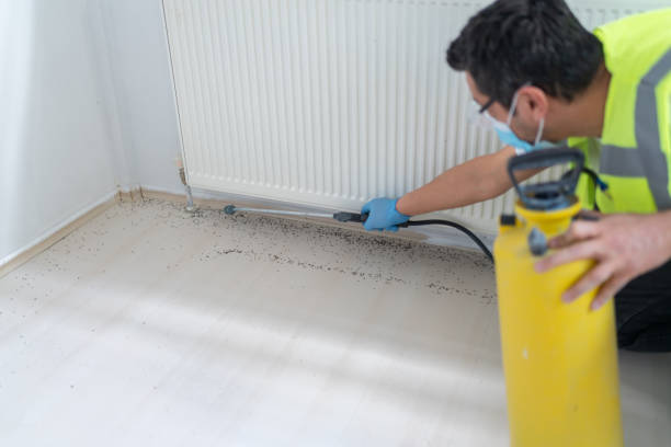 Reliable New Paris, OH Pest Control Solutions