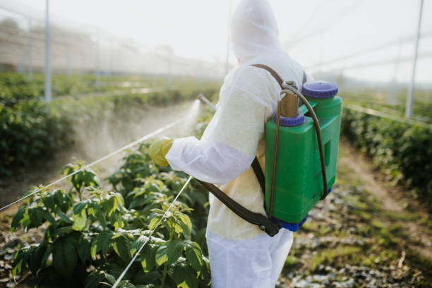 Best Local Pest Control Services  in New Paris, OH